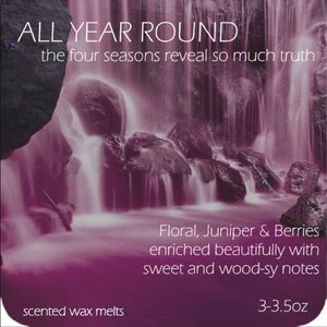 Handmade Soy ALL YEAR Wax Melts Tarts